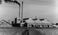 1955年 東京工場開設